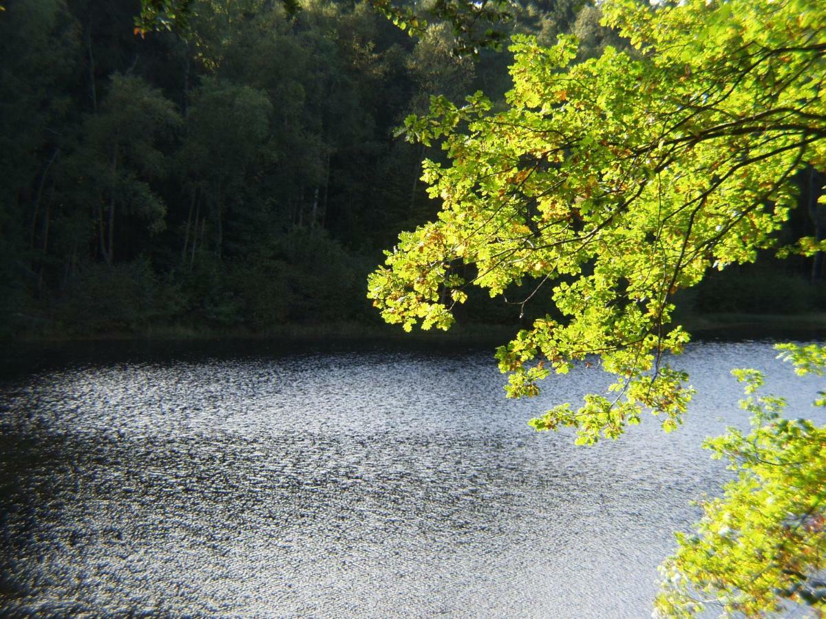 Ferienhaus Hagenwinkel Gernrode  Zewnętrze zdjęcie