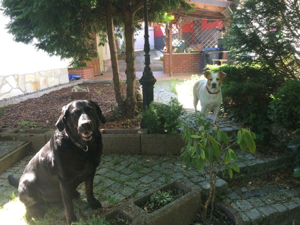 Ferienhaus Hagenwinkel Gernrode  Zewnętrze zdjęcie